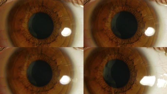 人的眼睛的极端特写视图。混乱地旋转眼球，经常眨眼。人眼的结构。