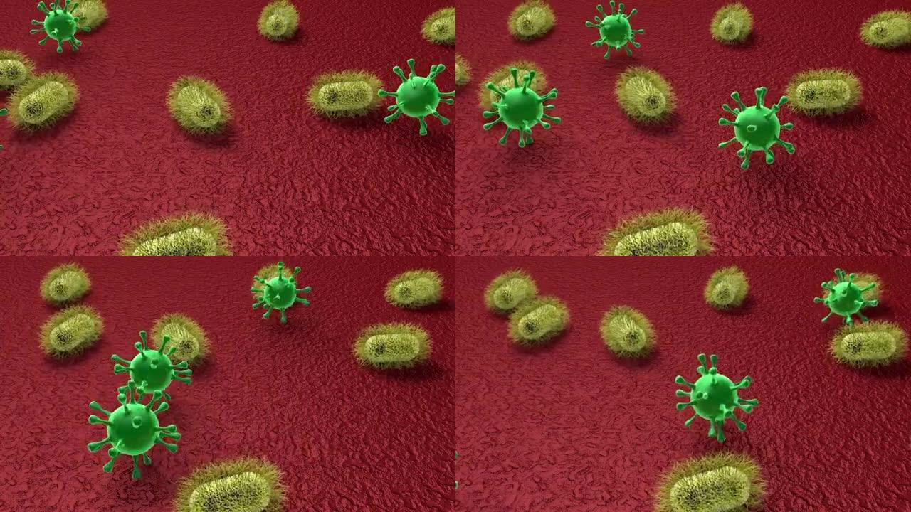 表面的3D动画微观世界 (放大病原微生物和病毒的视图)。安全和卫生概念。