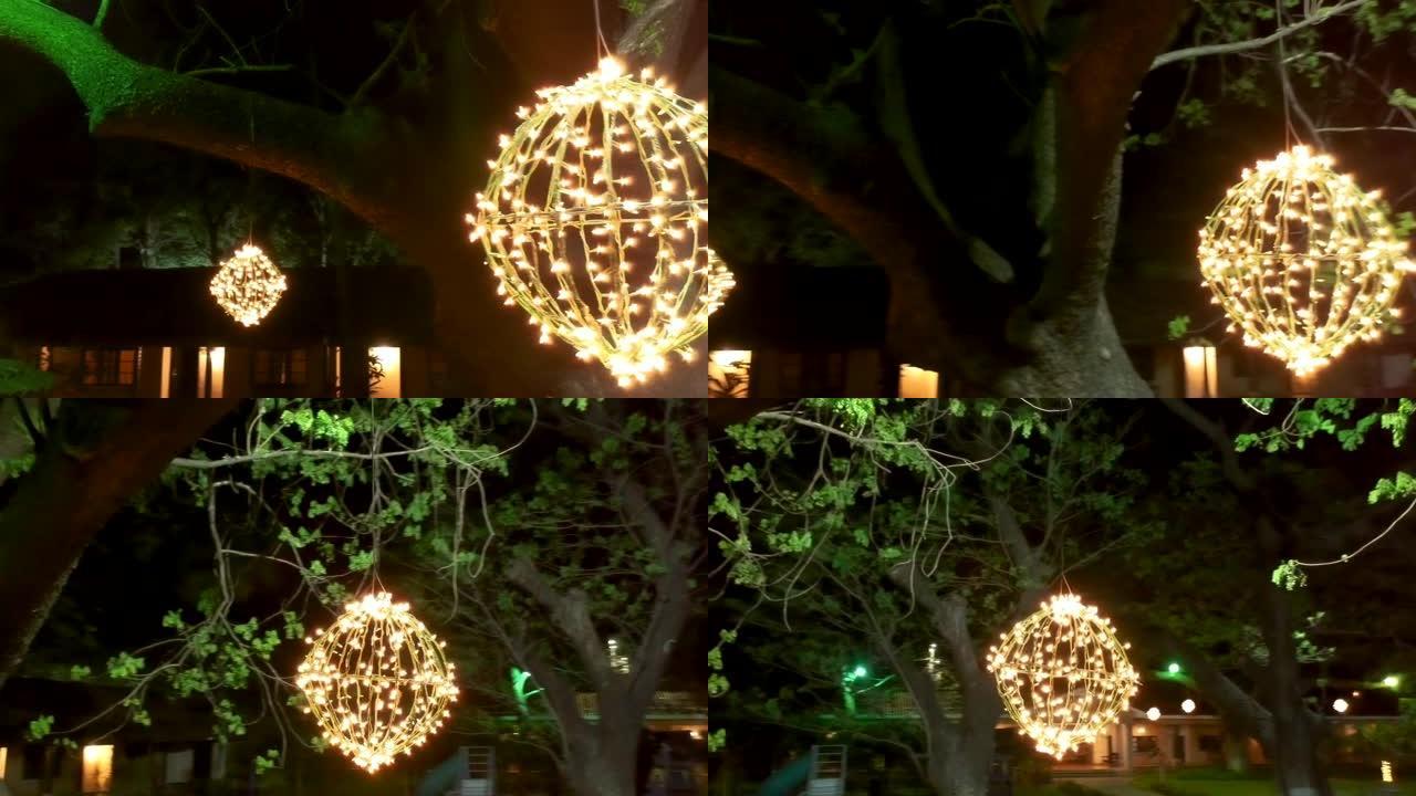 树上悬挂的装饰性红灯