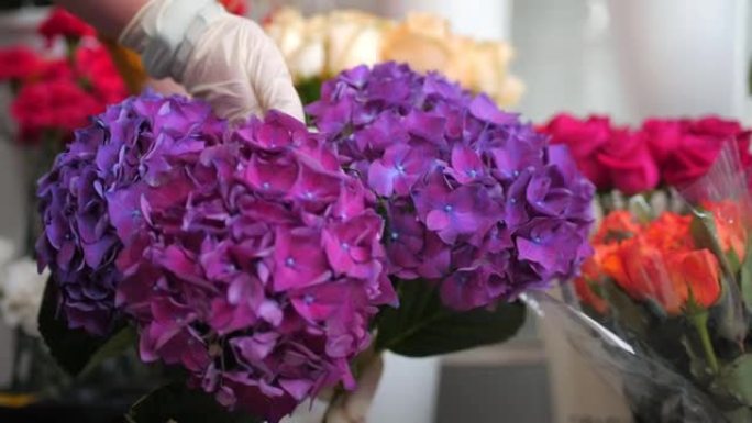 女售货员从花瓶中拿出新鲜的紫色绣球花