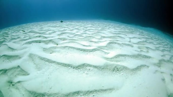 水下沙质海底