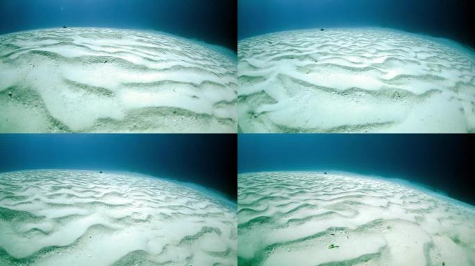 水下沙质海底