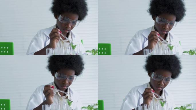 孩子们在教室的桌子上进行试管试验研究植物。