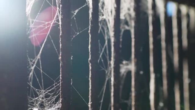 废弃的监狱。金属棒上的蜘蛛网。蜘蛛网闪烁。进入废弃监狱的门口。有蜘蛛网的格子。