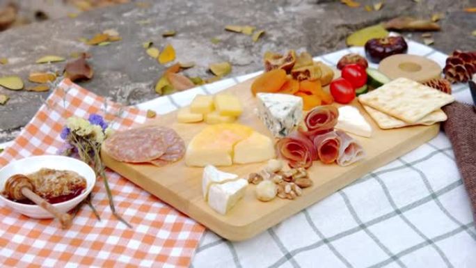 热带花园背景下的各种奶酪和熟食拼盘的镜头，包括卡门培尔奶酪，蓝色和豪达奶酪，腌肉，干果和坚果。