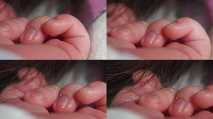 婴儿的手靠近新生婴儿的头发。他睡觉，不动。