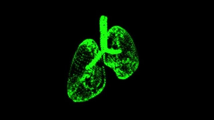 肺有气管支气管内脏的人。肺病学医学科学技术概念。线框低聚网格