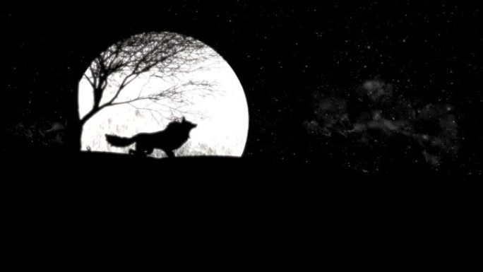 在满月之夜，狼how叫的插图，how叫是远距离交流的方式，在狼领土广阔的地区尤其重要。