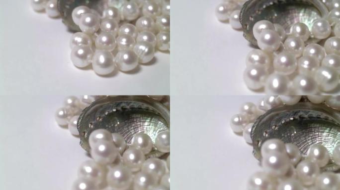 蛤蜊壳中的天然珍珠特写镜头。平滑运动和旋转