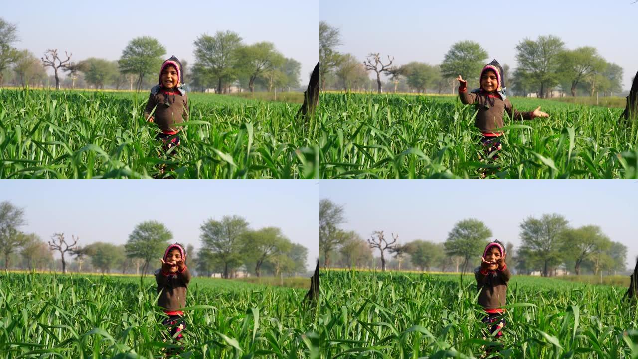 快乐农家姑娘在小米田里奔跑。孩子在小米田里玩耍，享受新鲜空气。