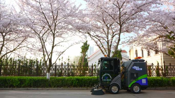 清晨街道樱花绽放环卫工人和清扫车