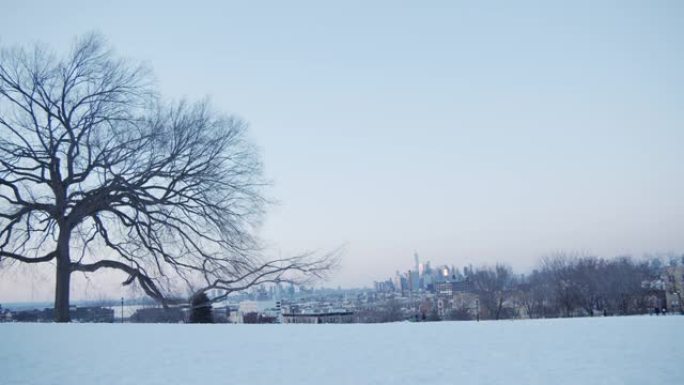 布鲁克林公园，背景是雪和纽约市