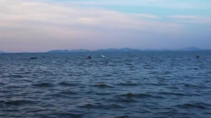 黄昏时分，白色大鸟飞越泰国当地码头海洋