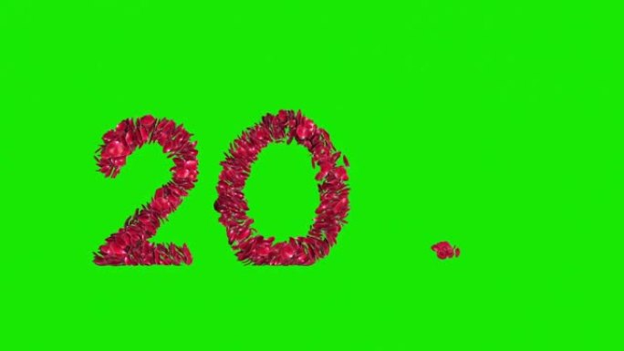 玫瑰花瓣制成的2021新年标志，绿屏Chromakey