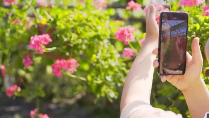 花店用智能手机拍摄视频走过鲜花