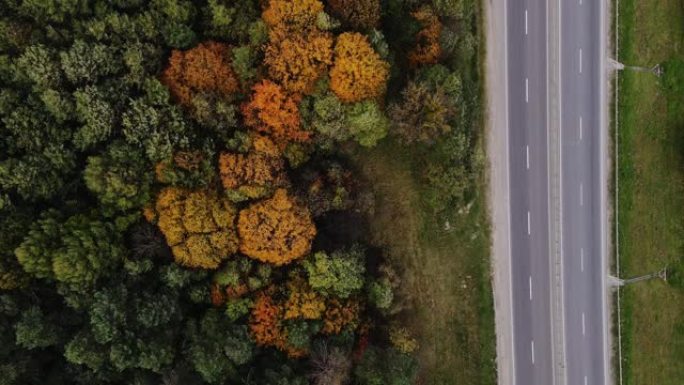 高速公路的俯视图，路边有秋天的树木