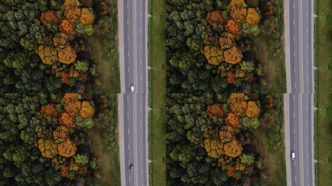 高速公路的俯视图，路边有秋天的树木