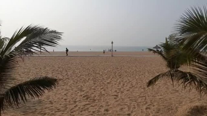 在海边的雾蒙蒙的早晨和摇曳的棕榈树