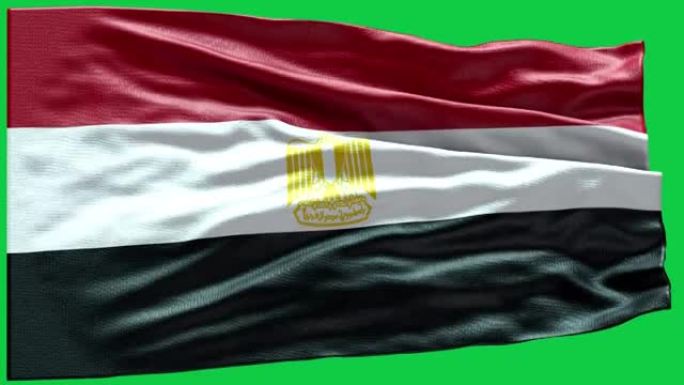 4k高度详细的埃及国旗-埃及国旗高细节-国旗埃及波浪图案可循环元素
