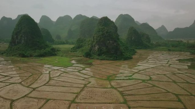 中国桂林稻田风景喀斯特景观鸟瞰图