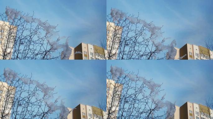 风在外面吹，天空是蓝色和白色的。有两座建筑物，附近可见一棵树的树枝，上面挂着破烂的塑料袋。环境污染