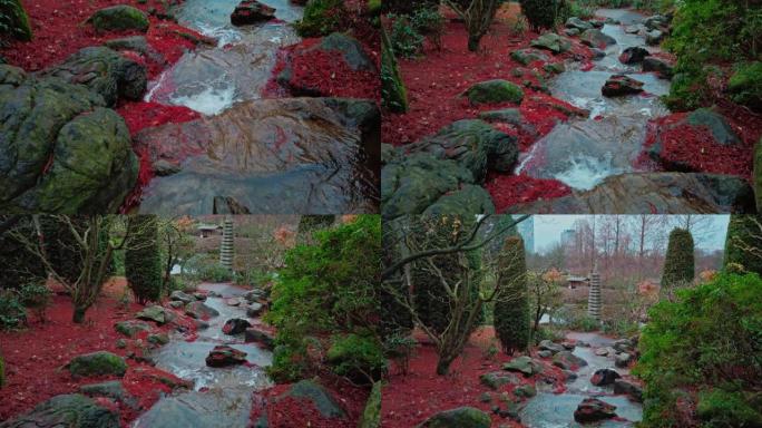 侧面有红枫叶的森林溪流