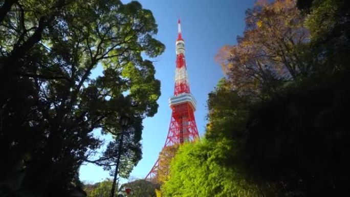 日本东京绿树顶的东京塔