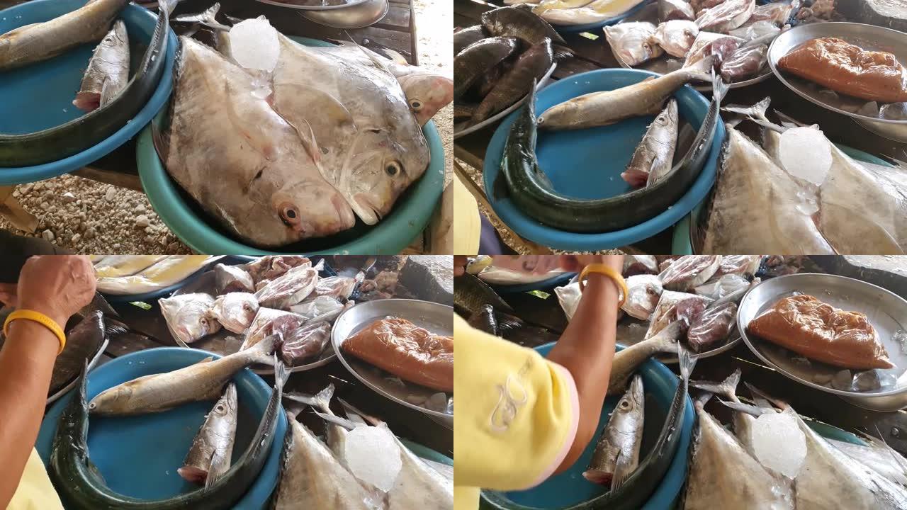 新鲜的鱼在新鲜市场出售