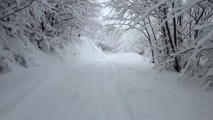 穿过树枝的隧道被白霜覆盖，被雪覆盖。神话般的冬日之美。