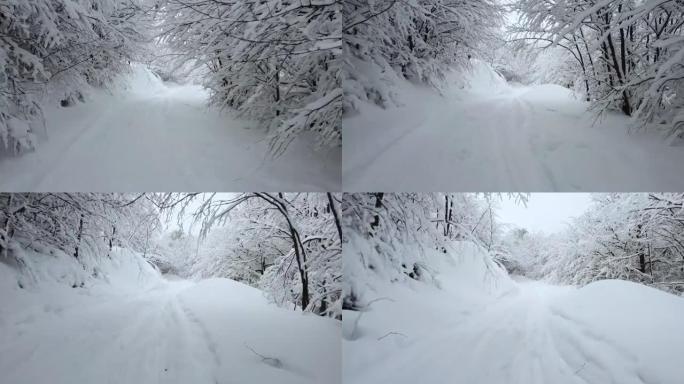 穿过树枝的隧道被白霜覆盖，被雪覆盖。神话般的冬日之美。