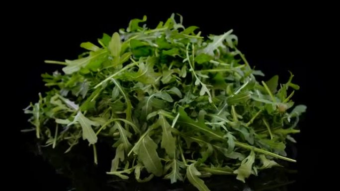 一堆新鲜的芝麻菜叶子在黑色背景上旋转。充满活力的绿色新鲜rucola沙拉。