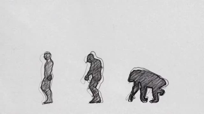 人类进化时间线无缝循环中的步行铅笔素描