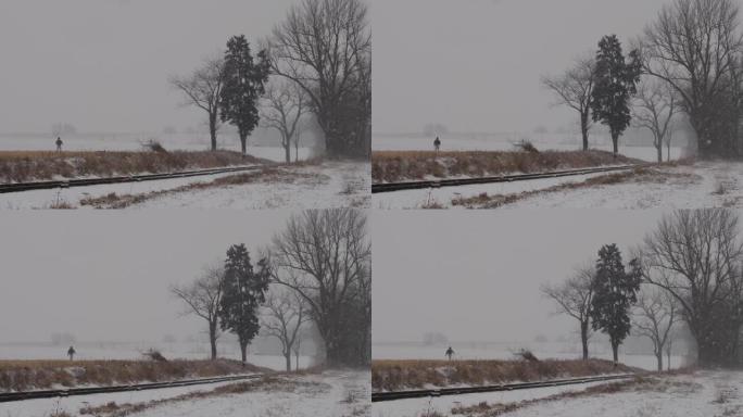 一场冬季暴风雪的景色，农田和铁路轨道上刮起了风雪，一名男子Walking着他的狗