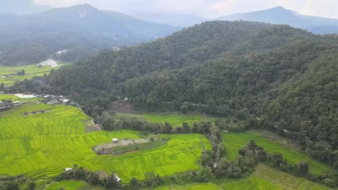 泰国清迈Mae Chaem Pa Pong Pieng的稻田。