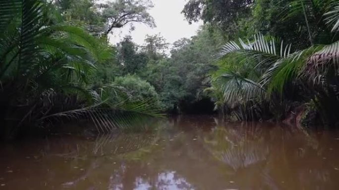 Khlong Sang Ne或小亚马逊Taku a Pa泰国。