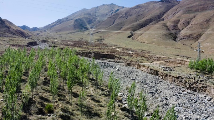 绿化 植树造林 毛乌素沙漠 环境治理