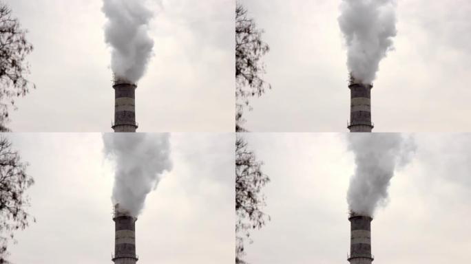 工业区的大管。锅炉房工作。浓浓的白烟倾泻在天空中。环境污染