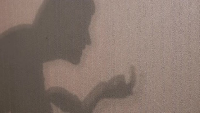 无法辨认的女人在墙上展示了阴影剧院