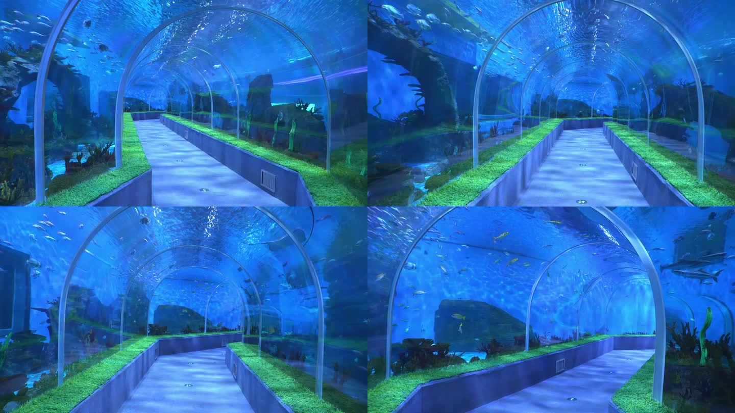 水族馆海底隧道