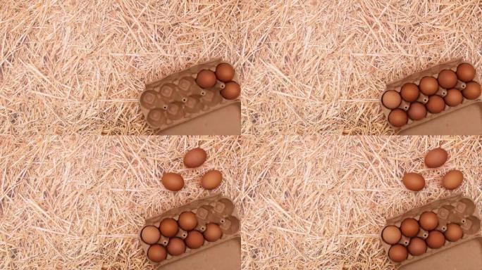 出现带有鸡蛋的盒子，并且三个鸡蛋在稻草主题上开箱即用。停止运动