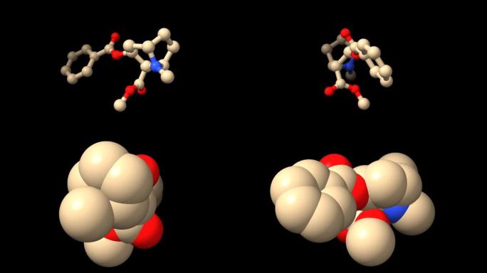 可卡因的动画3D球棒和表面模型