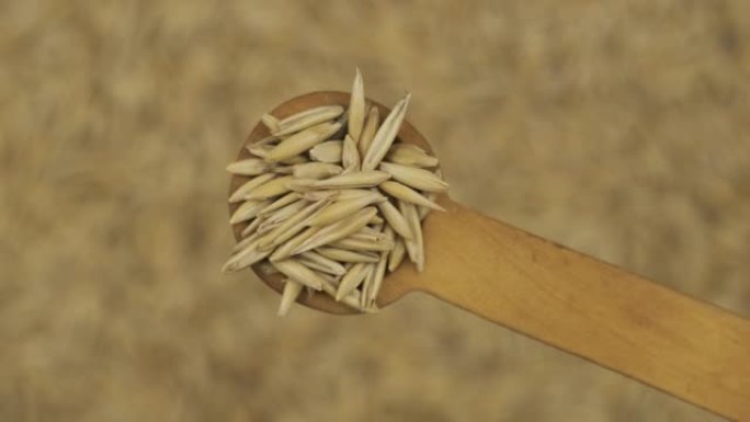 旋转散焦的燕麦种子上的一勺燕麦谷物。顶视图。食物背景。