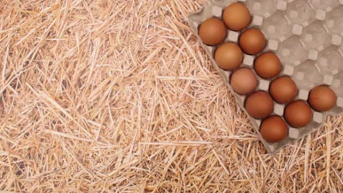 鸡蛋出现在稻草主题鸡蛋的盒子里。停止运动