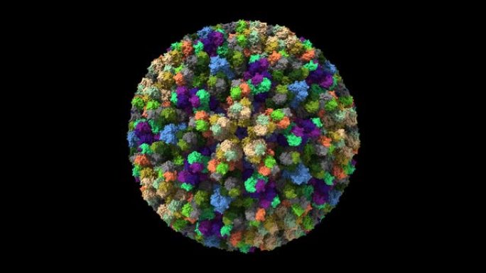 蓝舌病毒 (BTV) 核心的原子模型