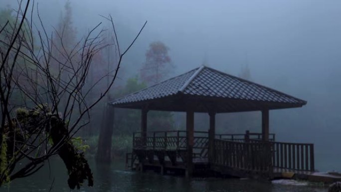 台湾，依兰县，森林，游憩区，雨天，明池