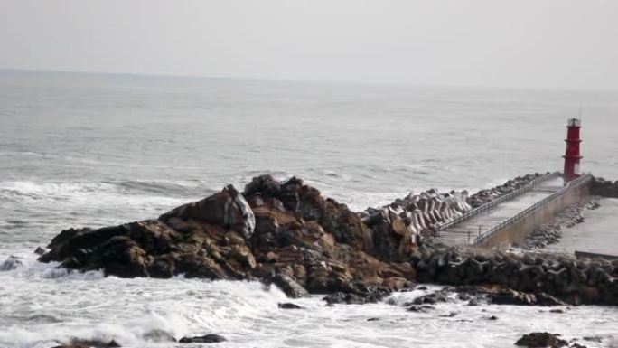 韩国江原道强大的海浪