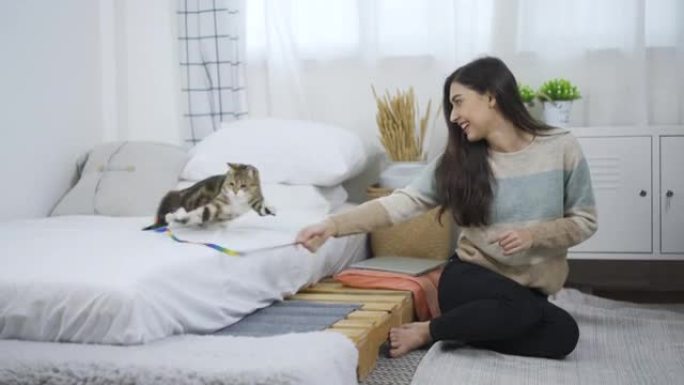 年轻的亚洲女人在卧室里和猫玩耍。