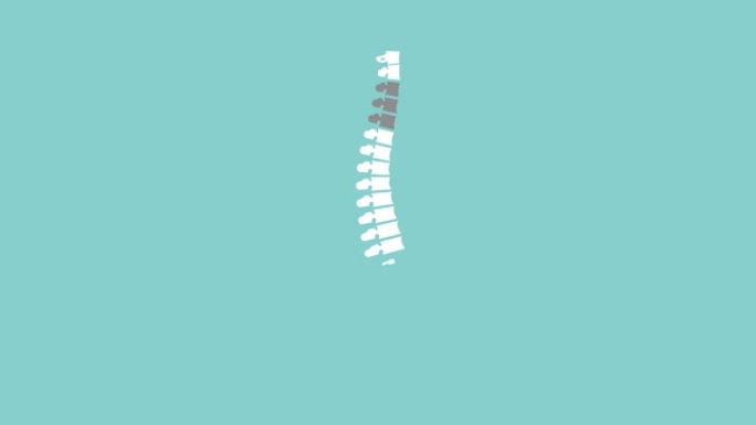 集中在脊椎区域。背部疼痛动画插图与脊柱