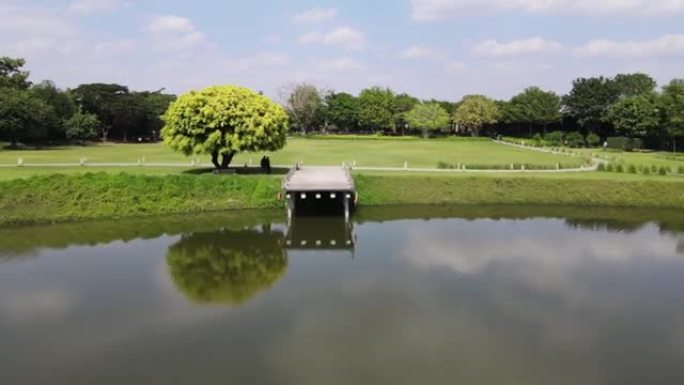 鸟瞰草地、木墩和蓝天湖的风景