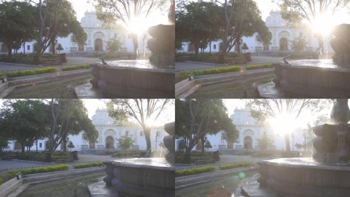 安提瓜危地马拉中央公园美人鱼喷泉的日出-鸽子在美丽的殖民公园上空飞翔，在安提瓜危地马拉有一个喷泉